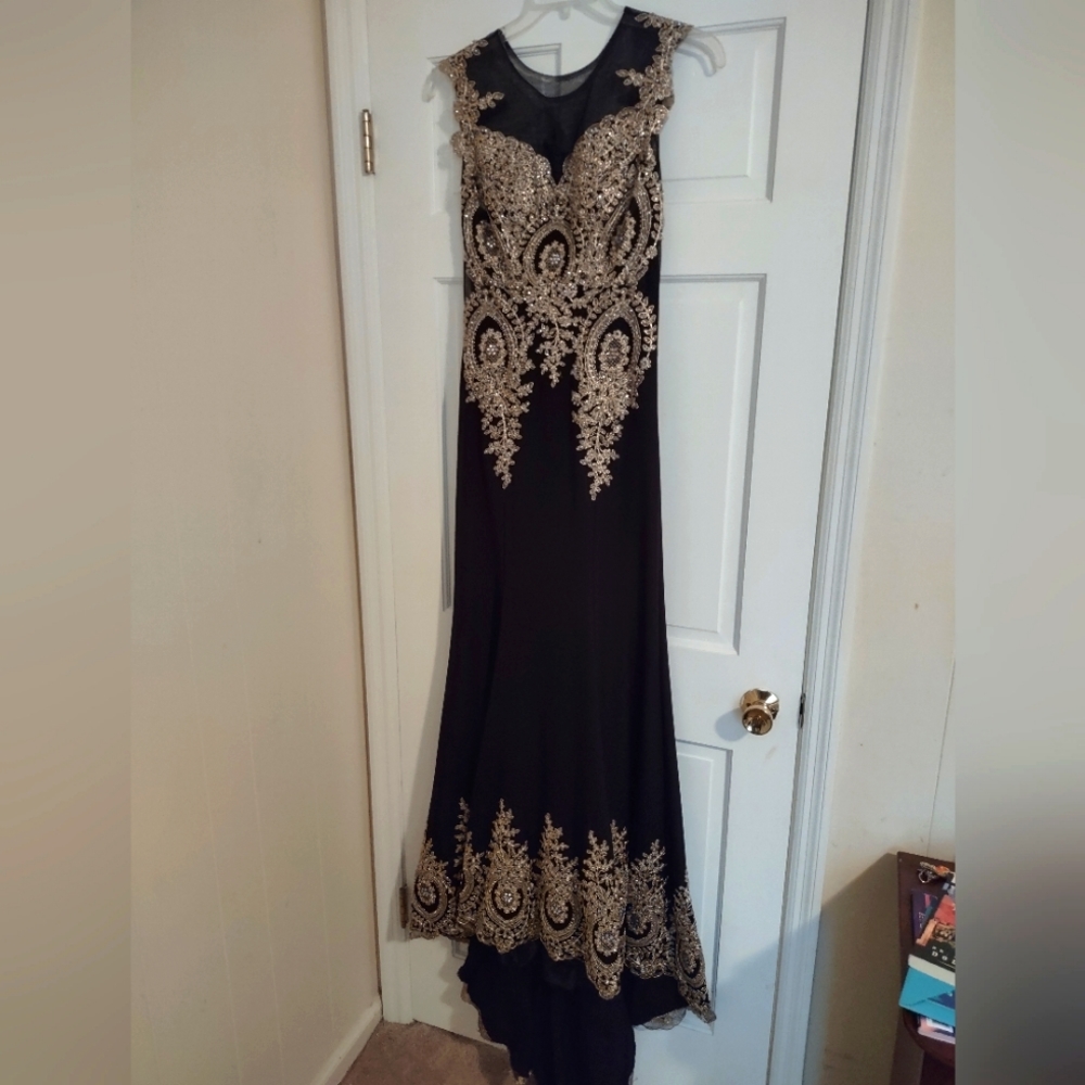 Formal Applique Body and along Hem